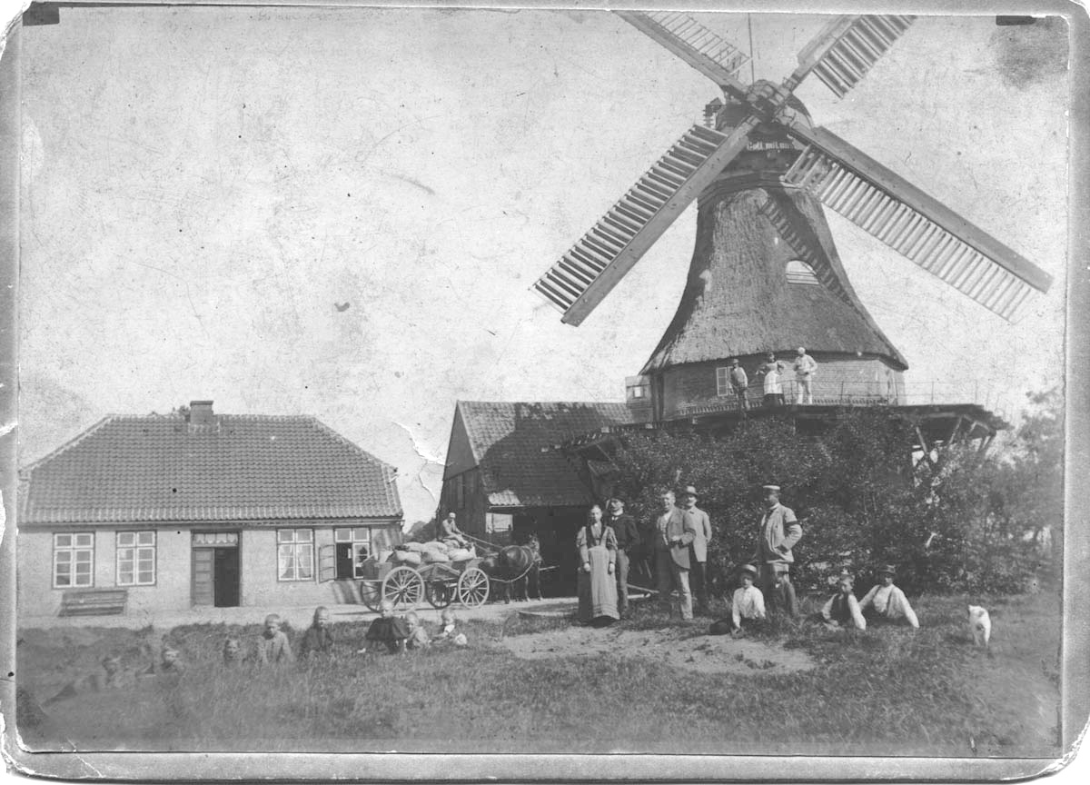 Mühle im Juli 1886
